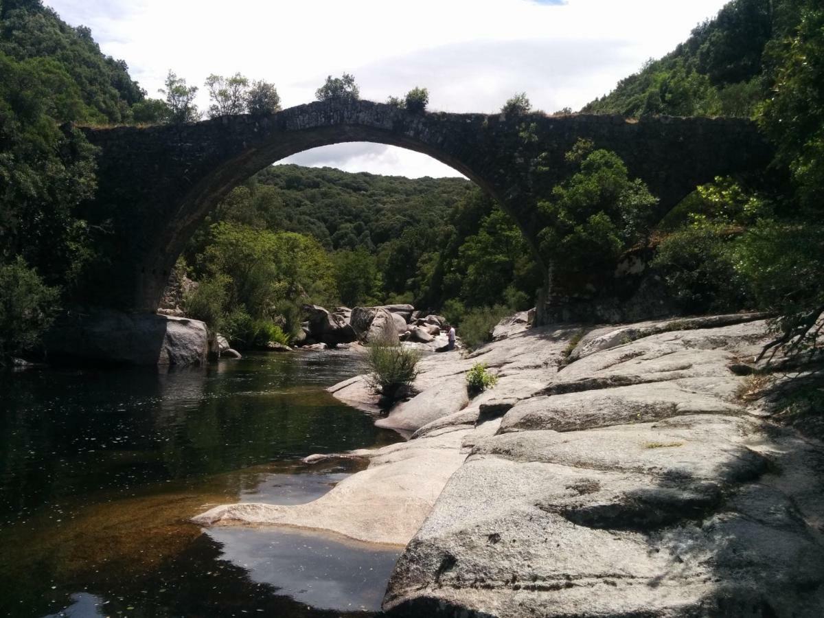 Corsica Monti Gite Appart Petreto-Bicchisano Exterior foto
