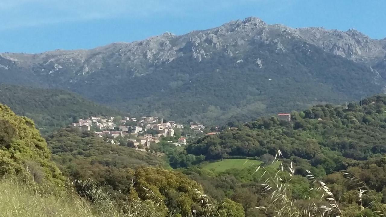 Corsica Monti Gite Appart Petreto-Bicchisano Exterior foto